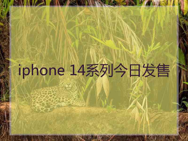 iphone 14系列今日发售