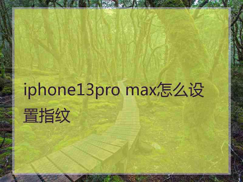 iphone13pro max怎么设置指纹