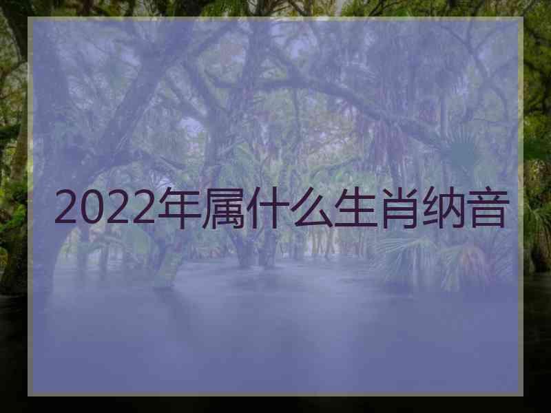 2022年属什么生肖纳音