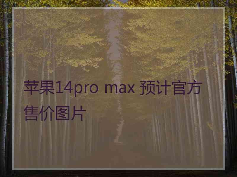 苹果14pro max 预计官方售价图片