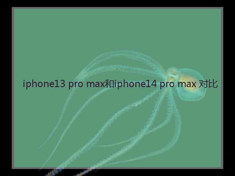 iphone13 pro max和iphone14 pro max 对比