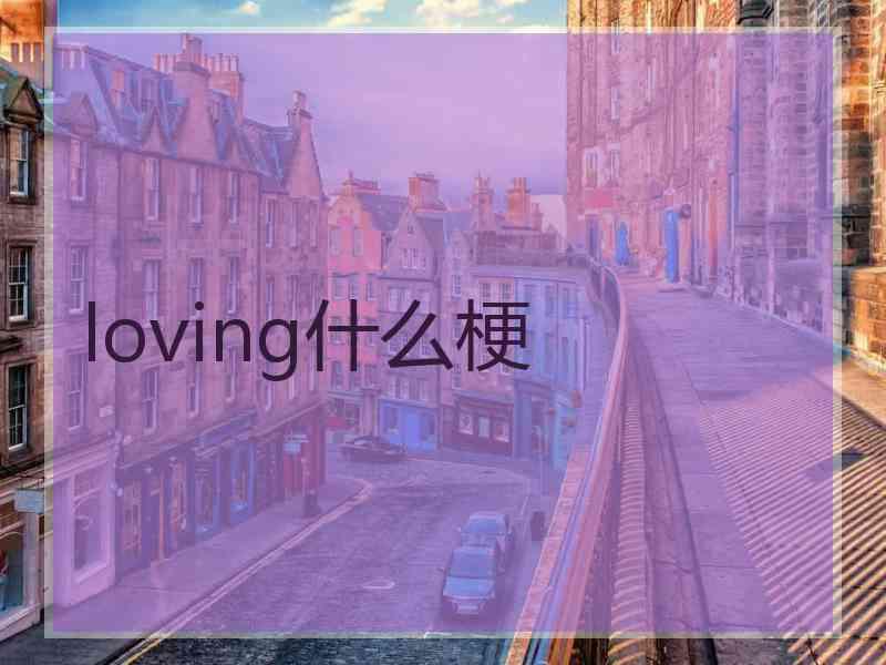 loving什么梗