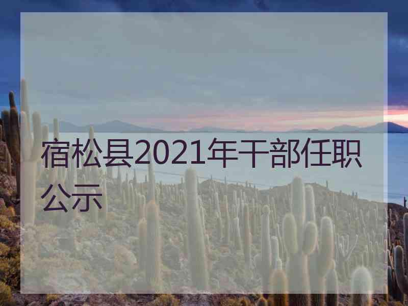 宿松县2021年干部任职公示