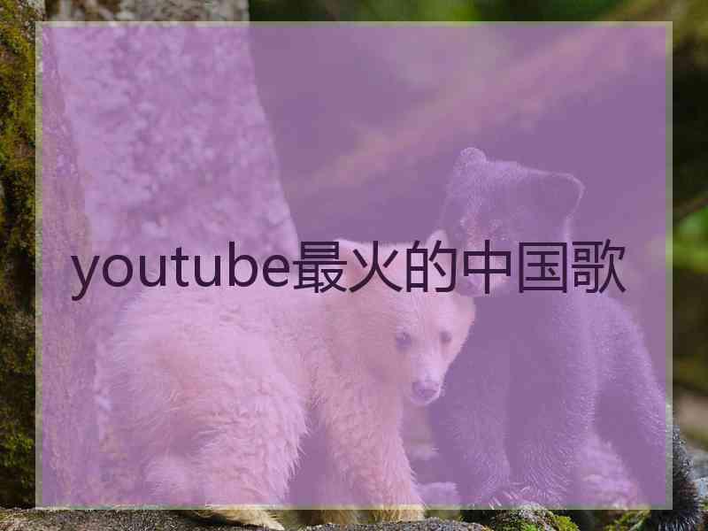 youtube最火的中国歌