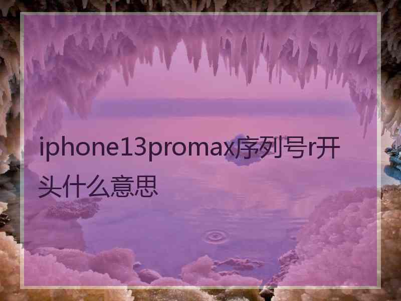 iphone13promax序列号r开头什么意思