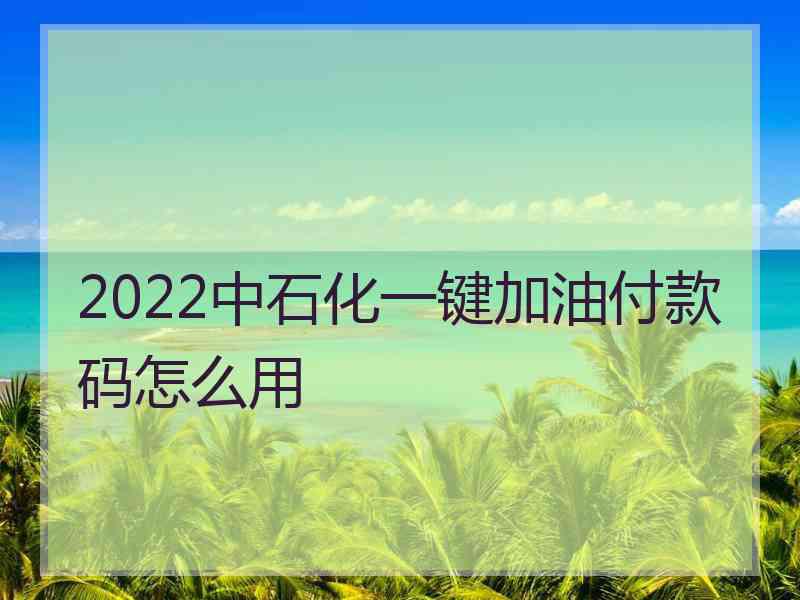 2022中石化一键加油付款码怎么用