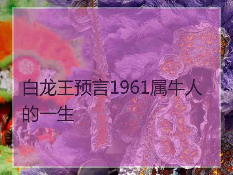 白龙王预言1961属牛人的一生