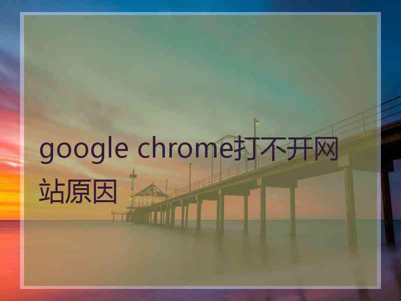 google chrome打不开网站原因