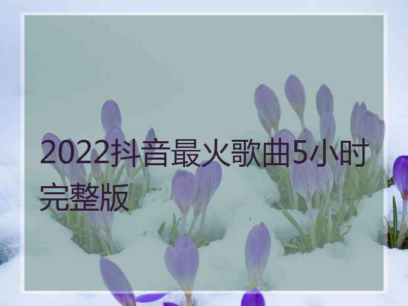 2022抖音最火歌曲5小时完整版