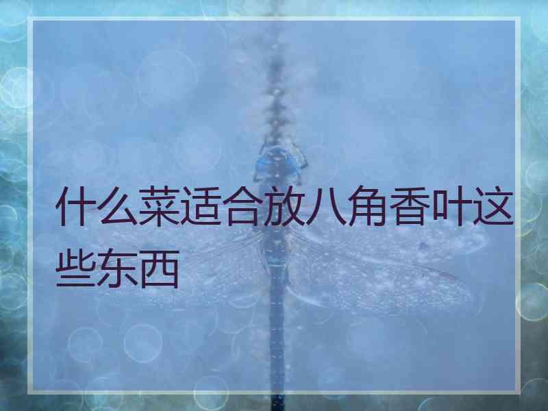 什么菜适合放八角香叶这些东西