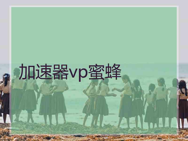 加速器vp蜜蜂