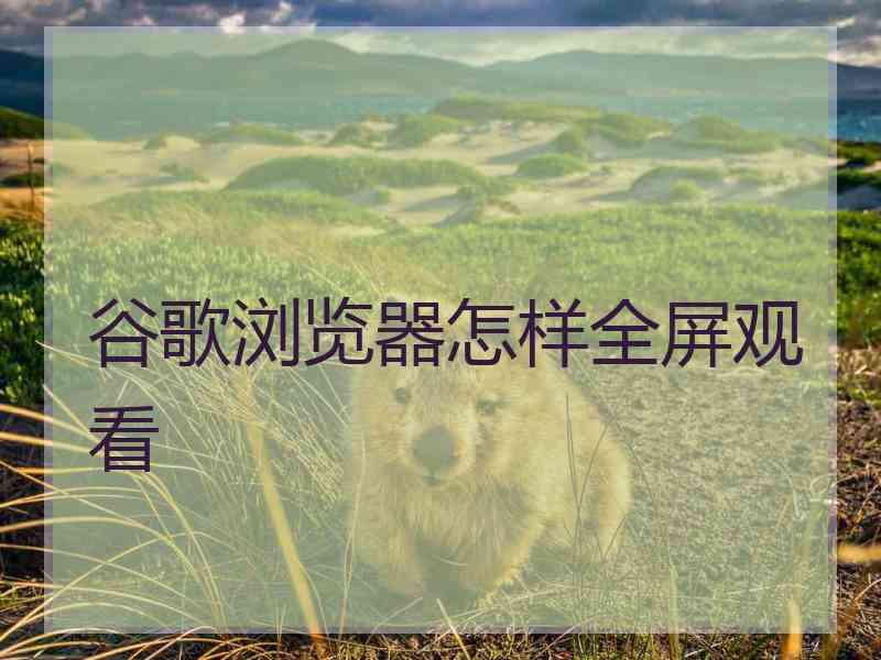 谷歌浏览器怎样全屏观看