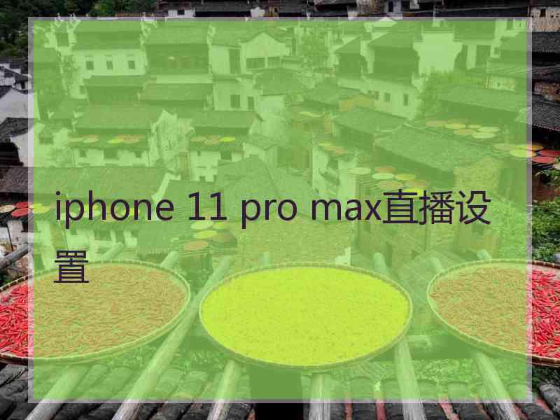 iphone 11 pro max直播设置