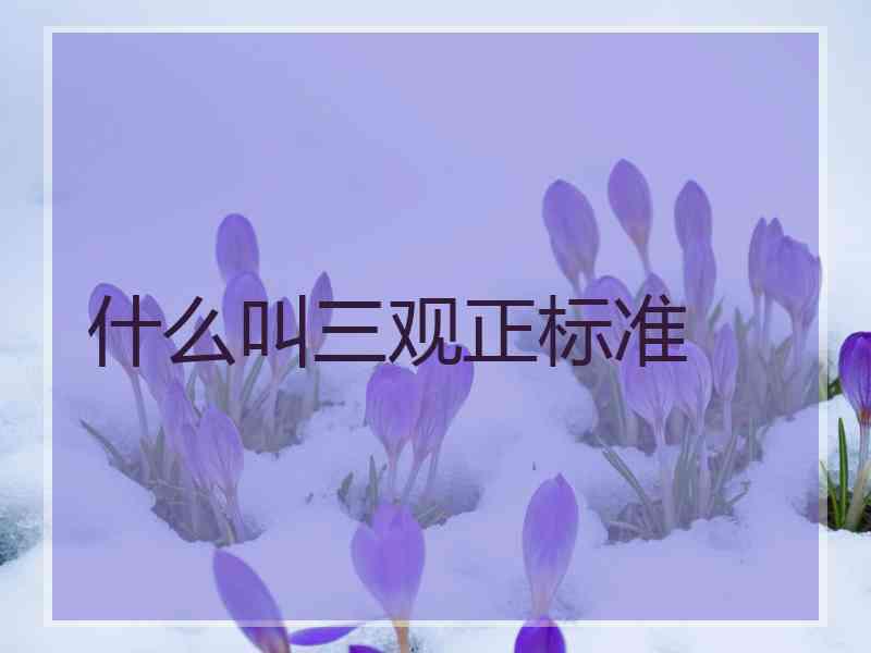 什么叫三观正标准