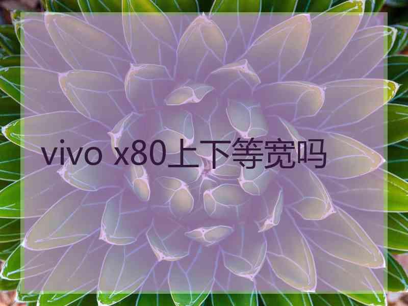 vivo x80上下等宽吗