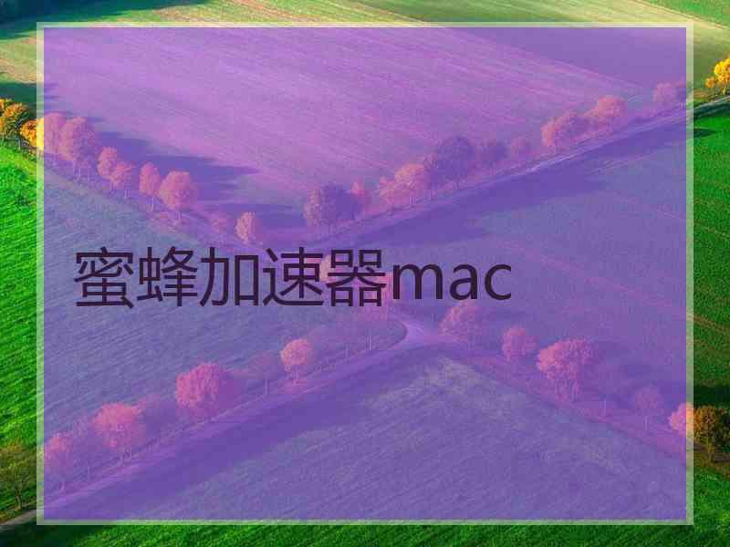 蜜蜂加速器mac