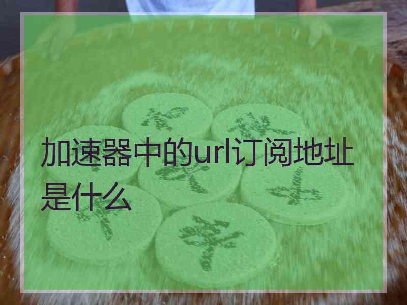 加速器中的url订阅地址是什么