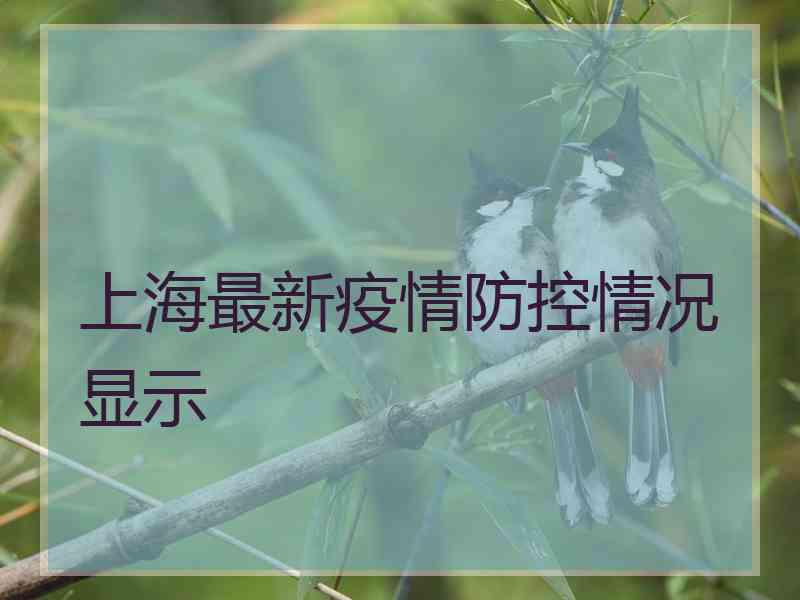 上海最新疫情防控情况显示