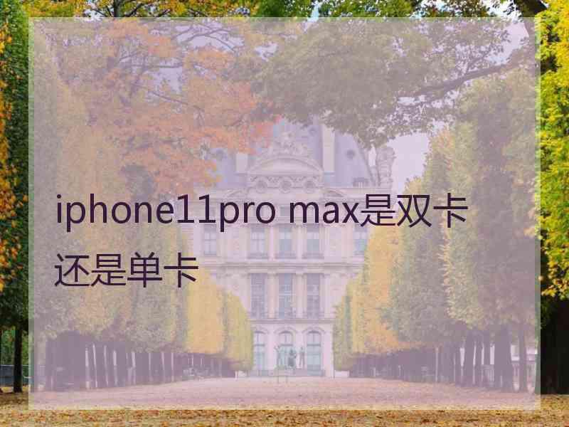 iphone11pro max是双卡还是单卡