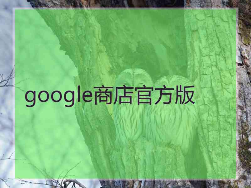 google商店官方版