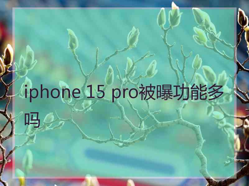 iphone 15 pro被曝功能多吗