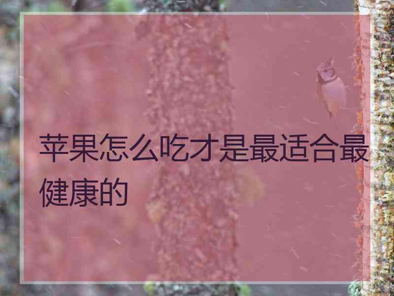 苹果怎么吃才是最适合最健康的