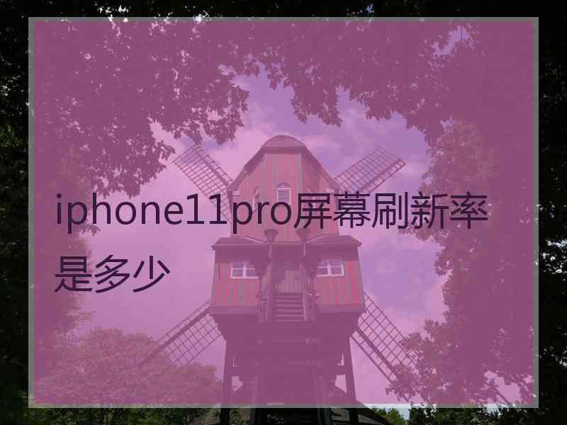 iphone11pro屏幕刷新率是多少