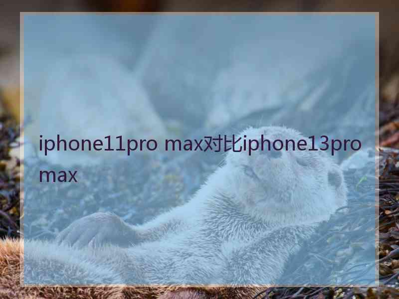 iphone11pro max对比iphone13promax