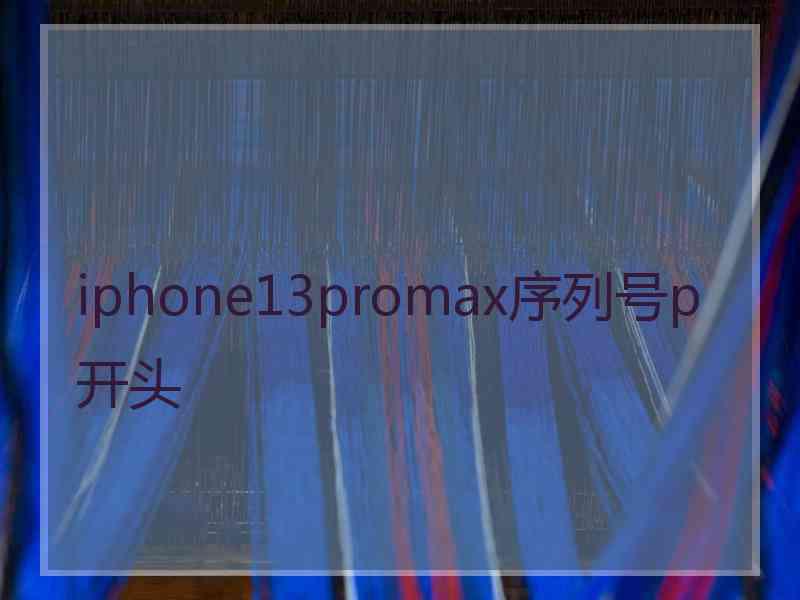 iphone13promax序列号p开头