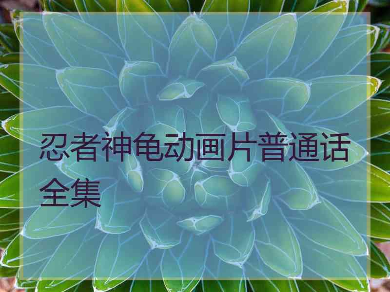 忍者神龟动画片普通话全集