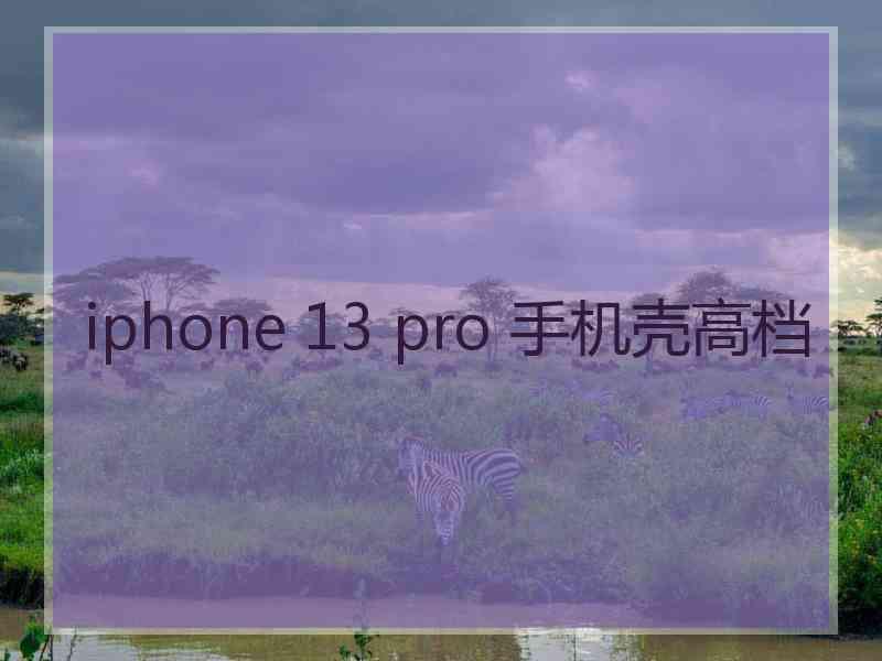 iphone 13 pro 手机壳高档