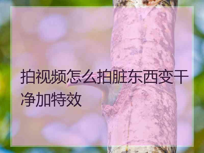 拍视频怎么拍脏东西变干净加特效