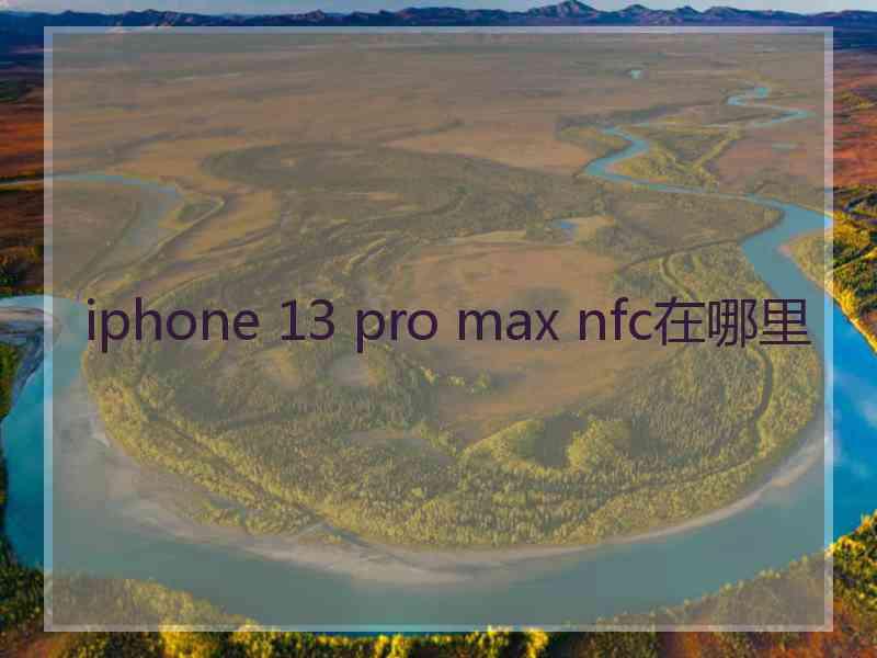 iphone 13 pro max nfc在哪里