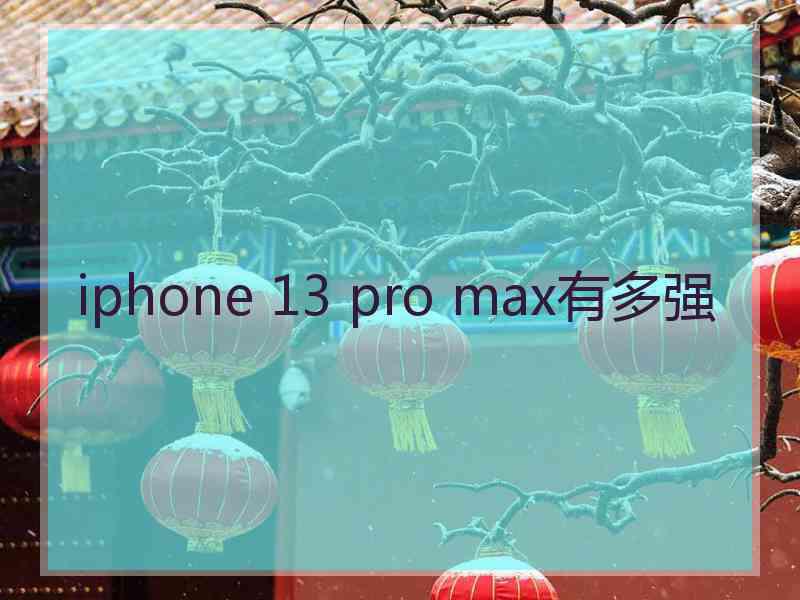 iphone 13 pro max有多强