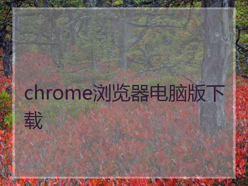 chrome浏览器电脑版下载