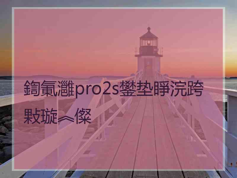 鍧氭灉pro2s鐢垫睜浣跨敤璇︽儏