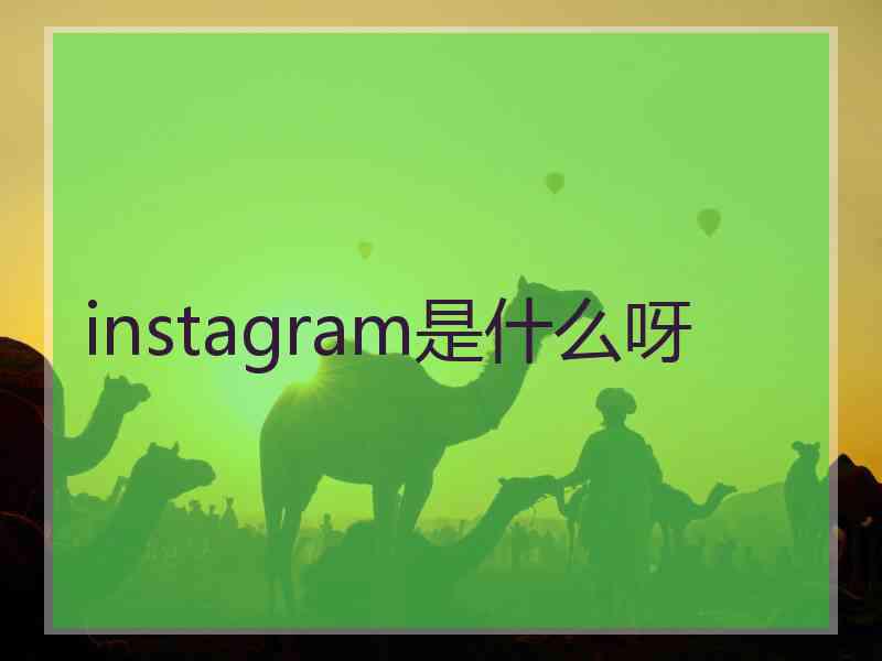 instagram是什么呀