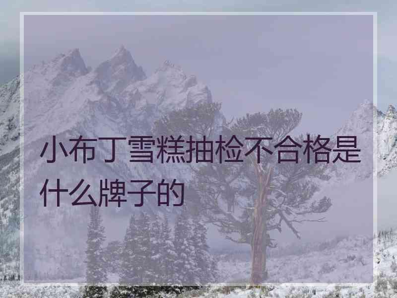 小布丁雪糕抽检不合格是什么牌子的