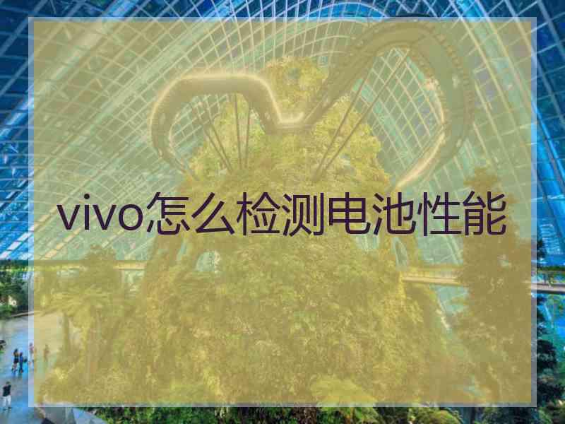 vivo怎么检测电池性能