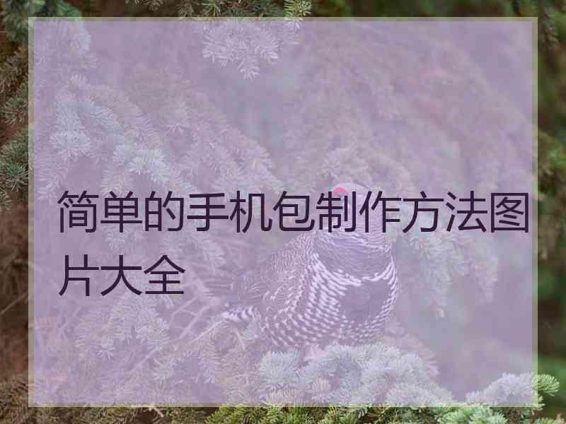 简单的手机包制作方法图片大全