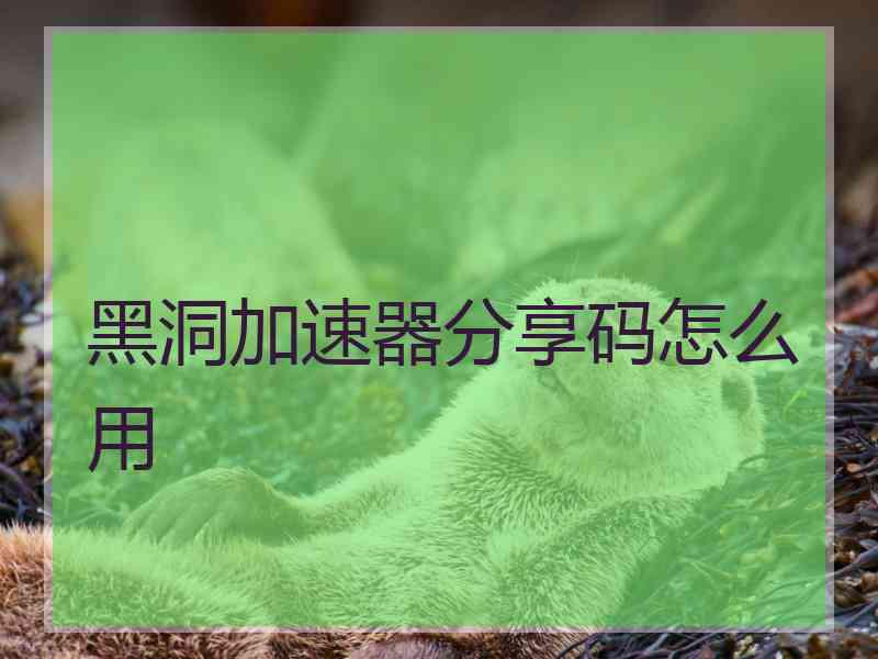 黑洞加速器分享码怎么用