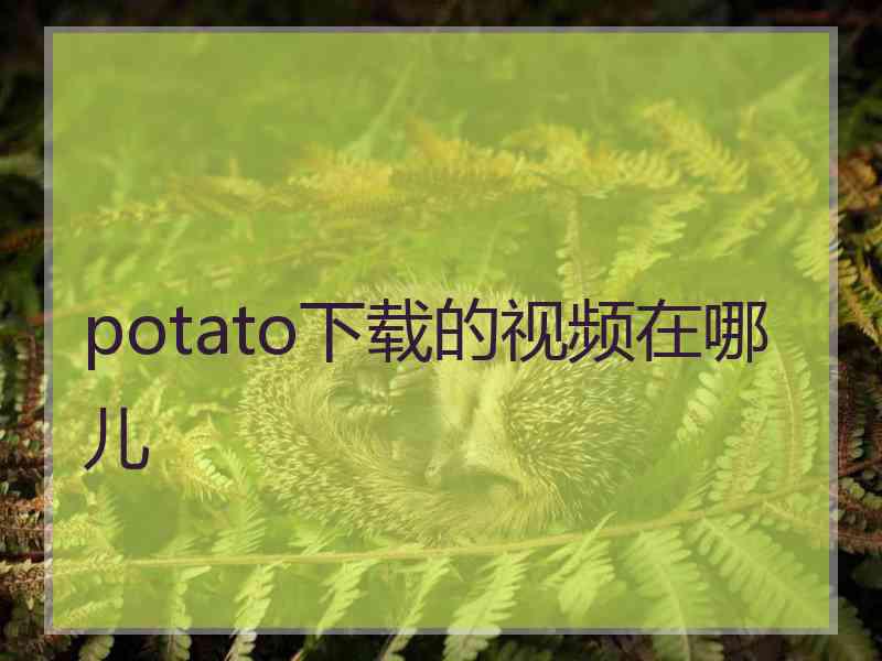 potato下载的视频在哪儿