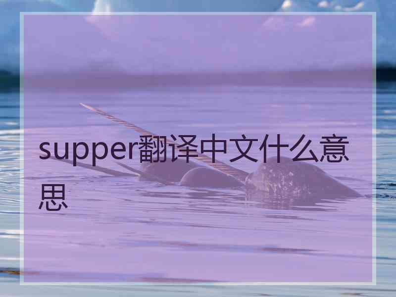 supper翻译中文什么意思