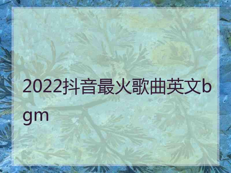 2022抖音最火歌曲英文bgm