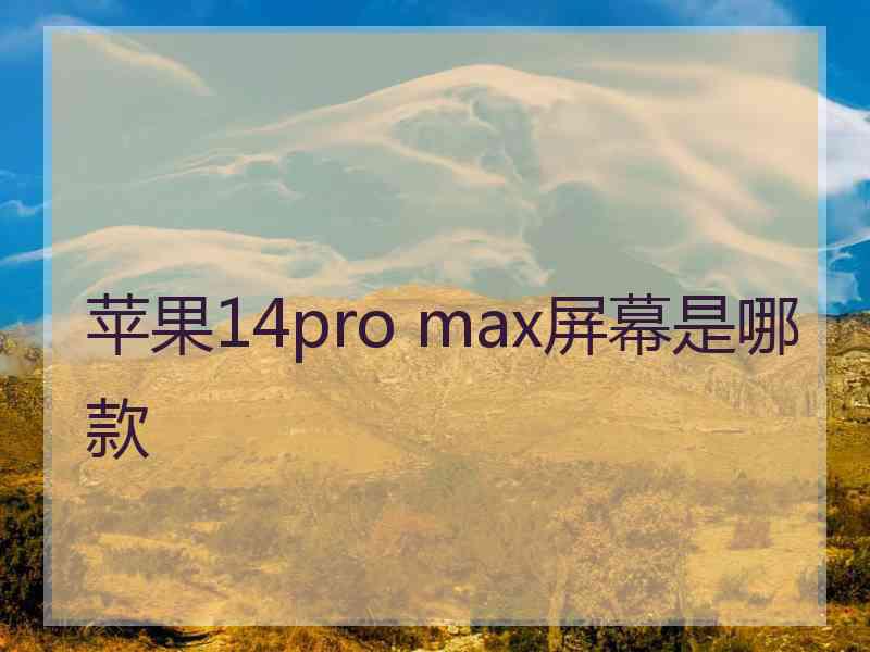 苹果14pro max屏幕是哪款