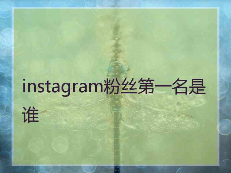 instagram粉丝第一名是谁