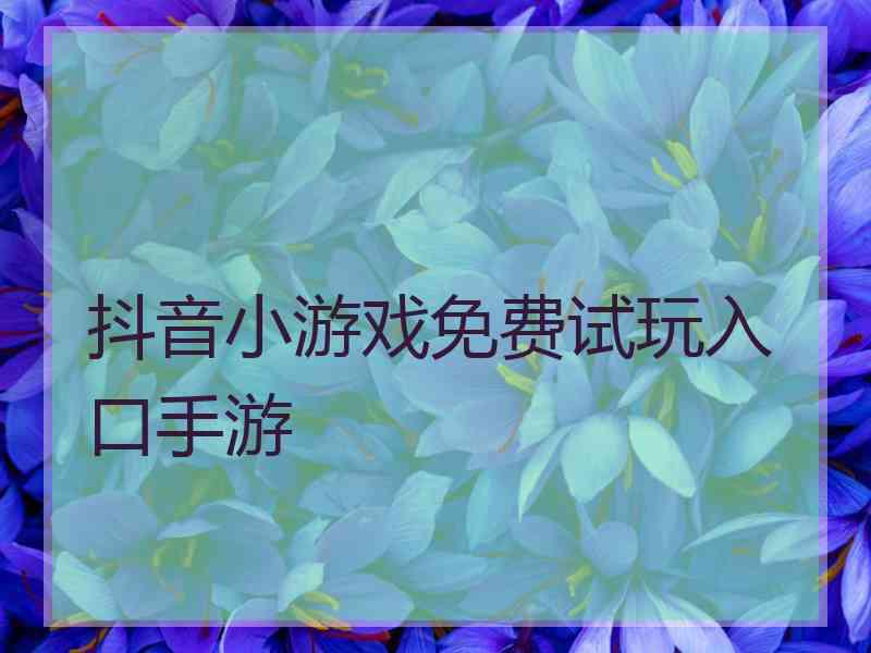 抖音小游戏免费试玩入口手游