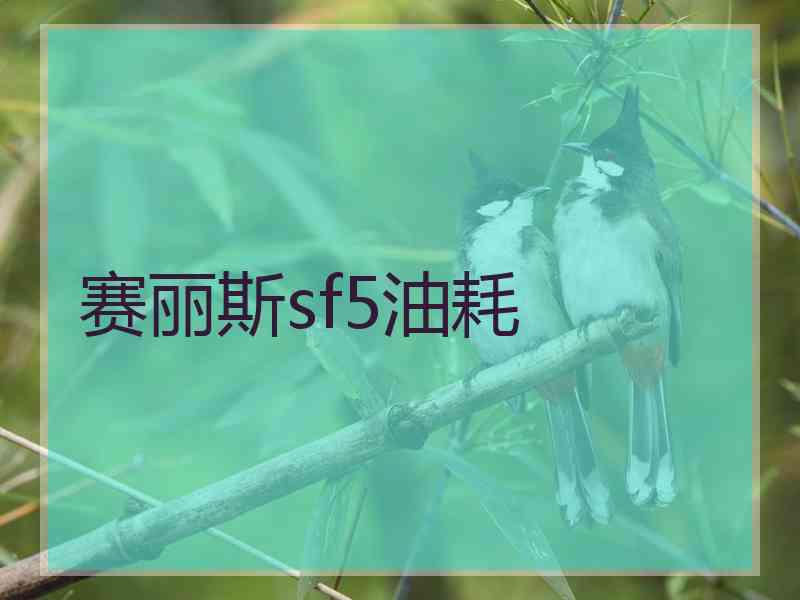 赛丽斯sf5油耗