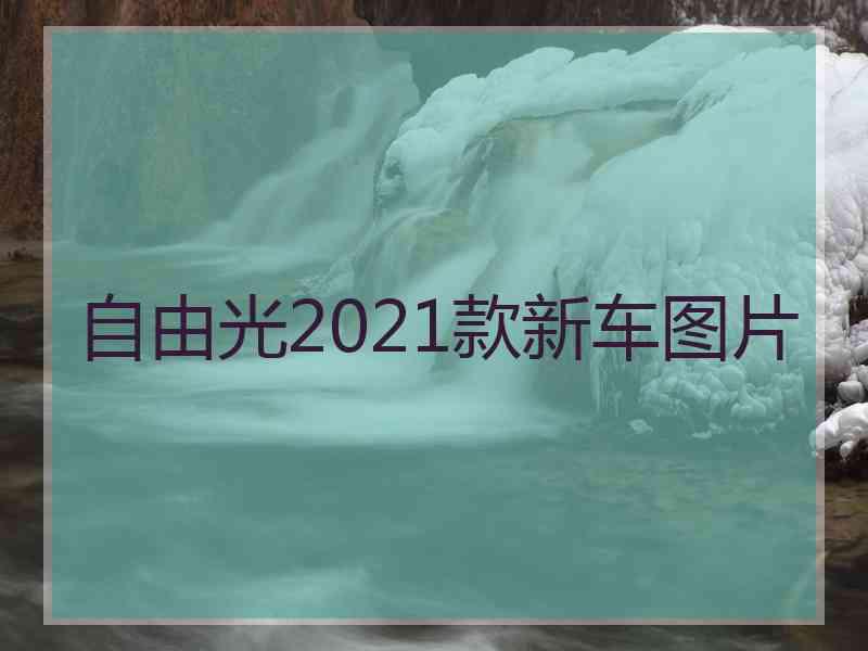 自由光2021款新车图片