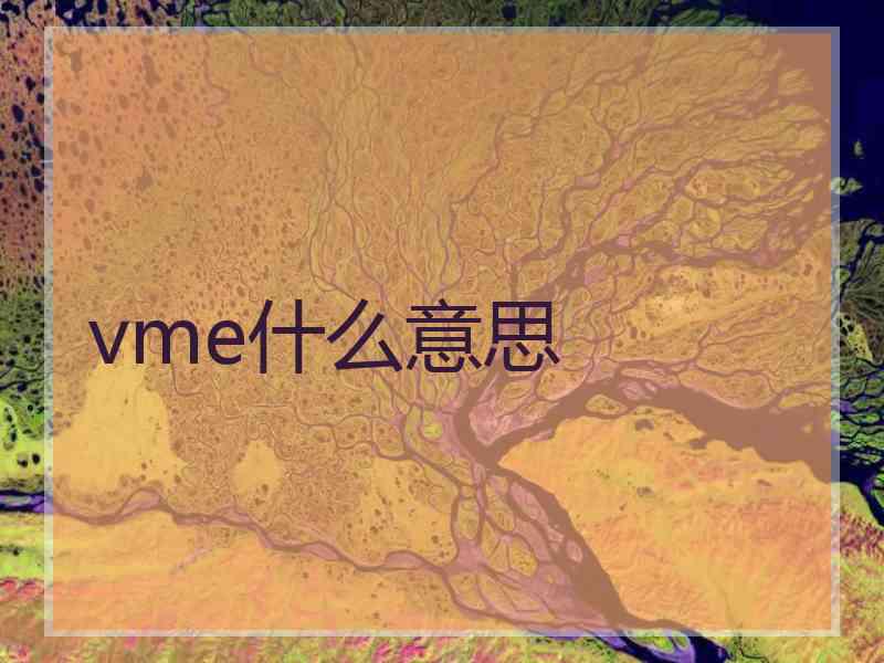 vme什么意思